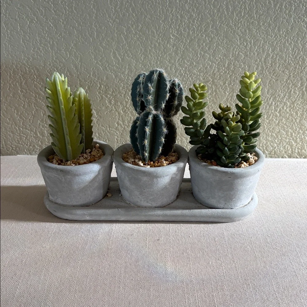 Hobby Lobby Faux Succulents in Distressed Gray Concrete Pots, Great Condition